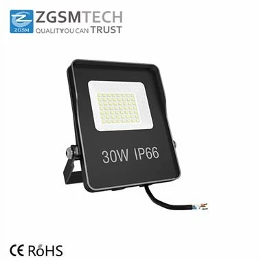 Sensore PIR 30W Luce di inondazione LED IP66